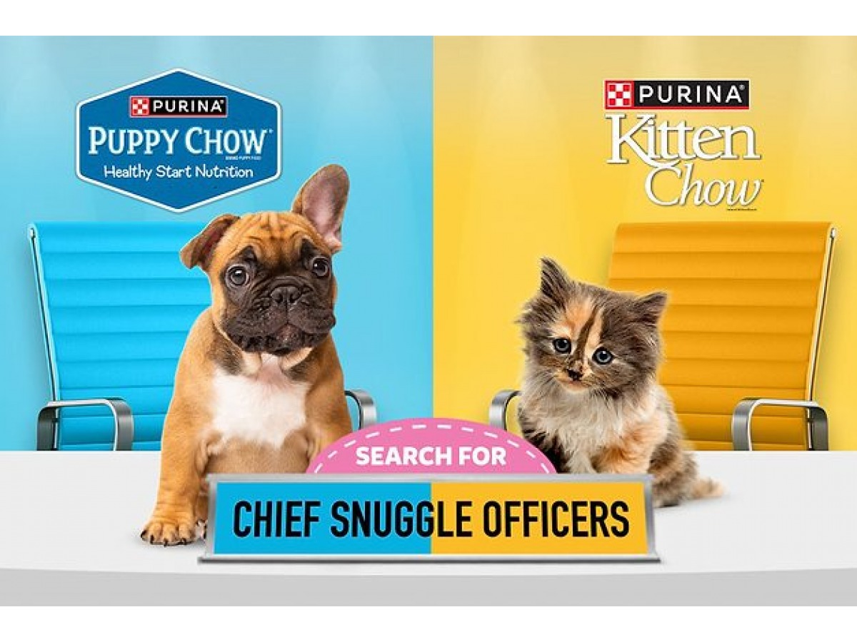 Get $25K: Cutest Snuggler Contest