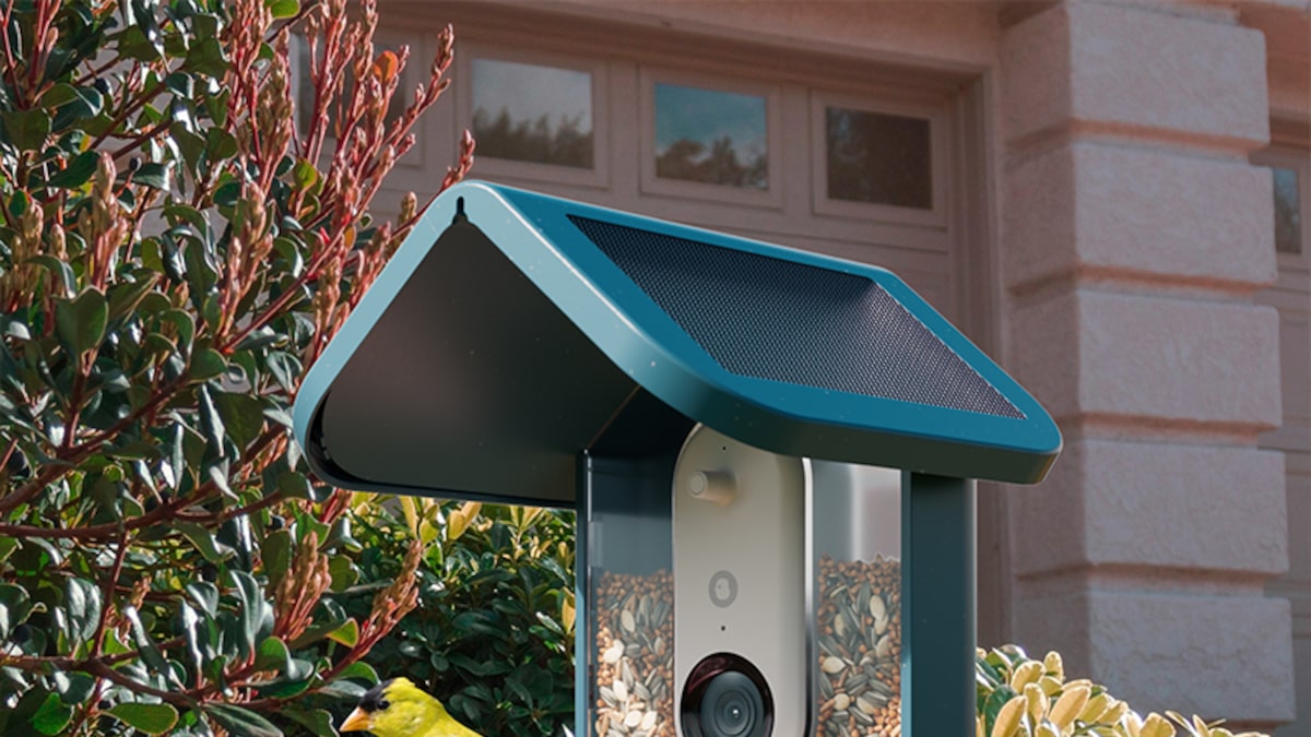 Get a Smart Bird Feeder Pro With Solar Roof