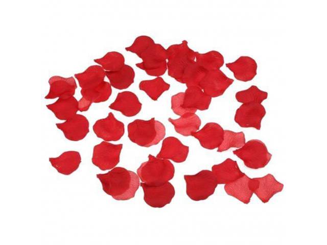 Get Free Silk Rose Petals!