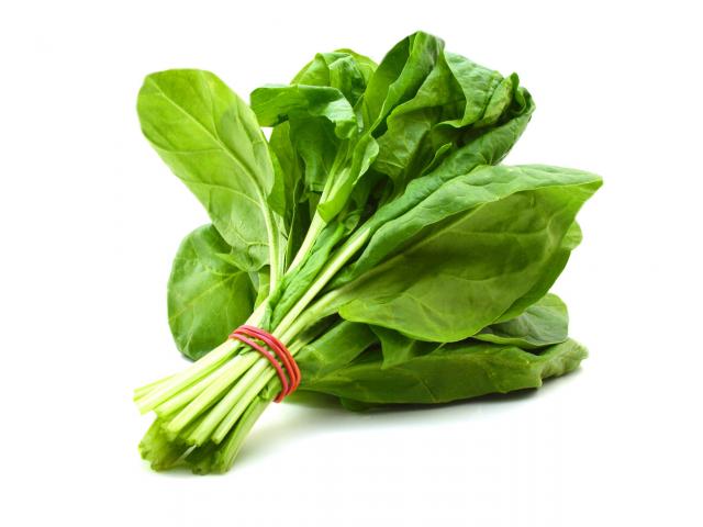 Get Free Organic Spinach Seeds!