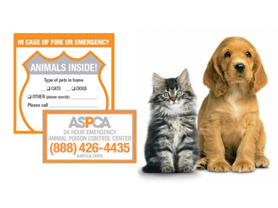 Free Pet Safety Pack From ASPCA!