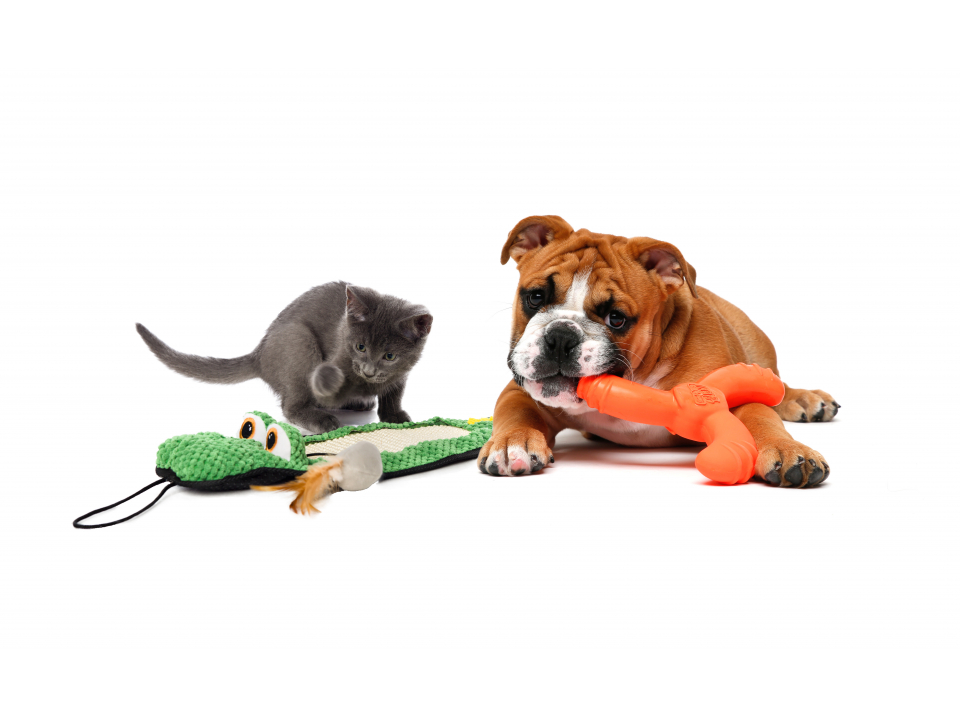 Free Pet Toy From Hartz