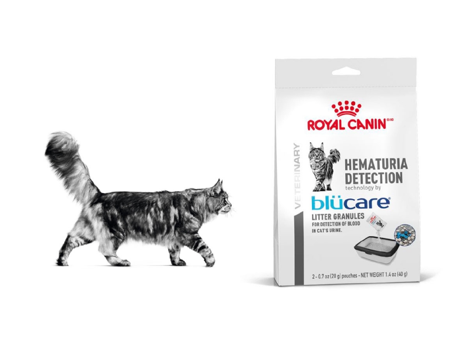 Free Hematuria Detection Sample From Royal Canin