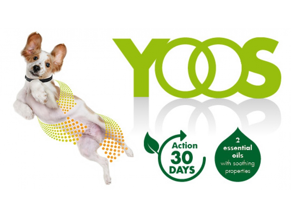 Free Essential Oil Collar For Dogs By Yoos